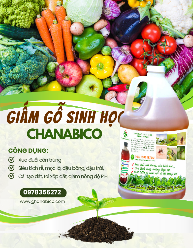 GIẤM CẢI TẠO ĐẤT - GIẤM GỖ SINH HỌC CHANABICO